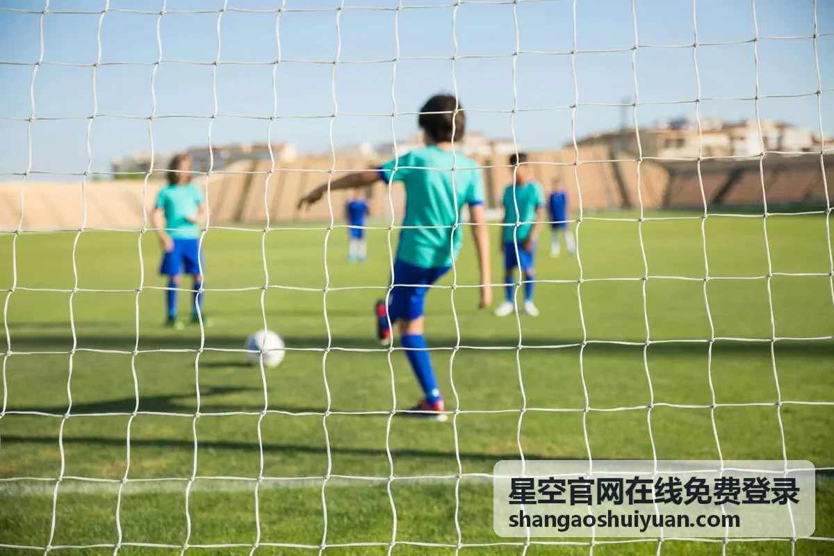 星空官网在线免费登录新用户开通指引操作界面