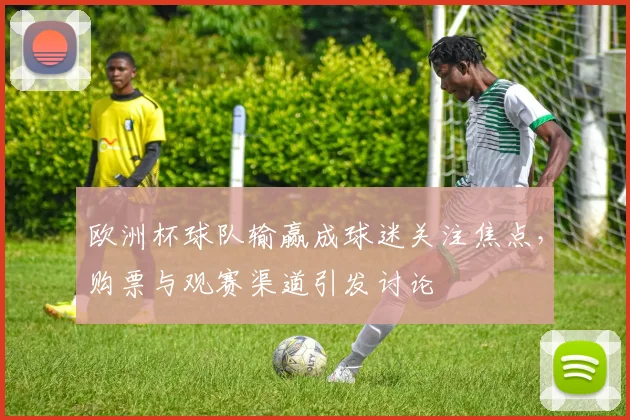 欧洲杯球队输赢成球迷关注焦点，购票与观赛渠道引发讨论