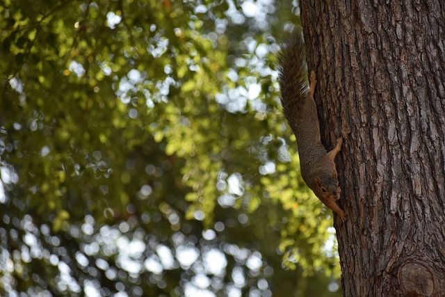他的身高和 他的身高和