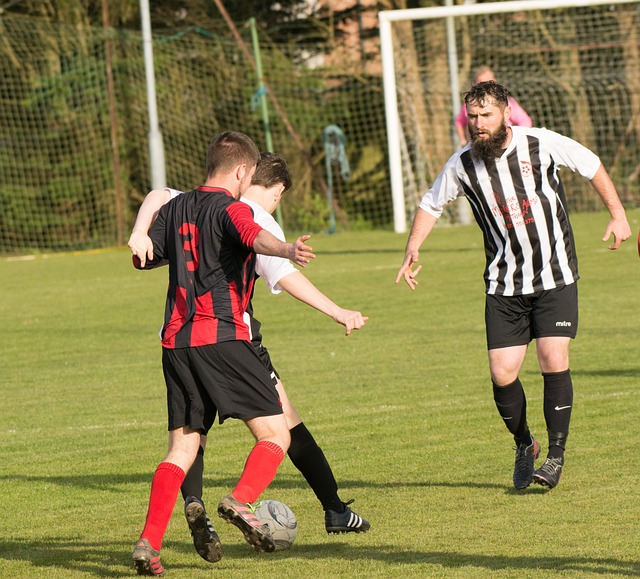 员的发挥 员的发挥