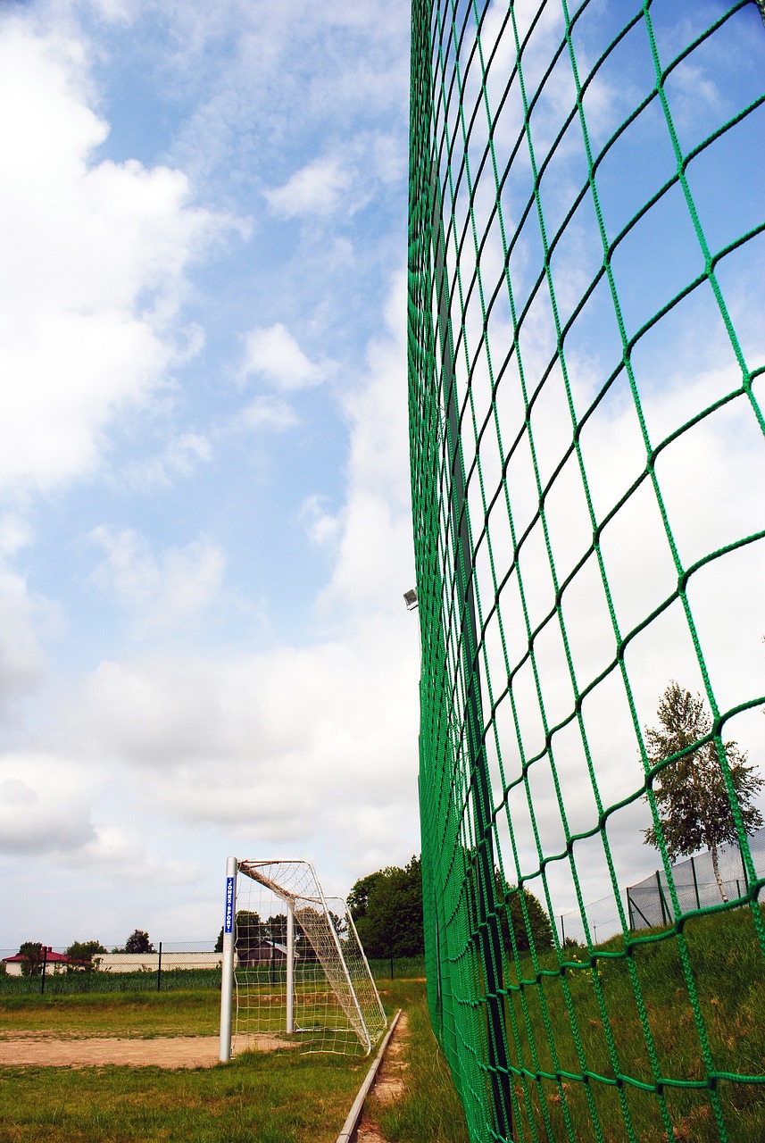 球迷们也呼 球迷们也呼